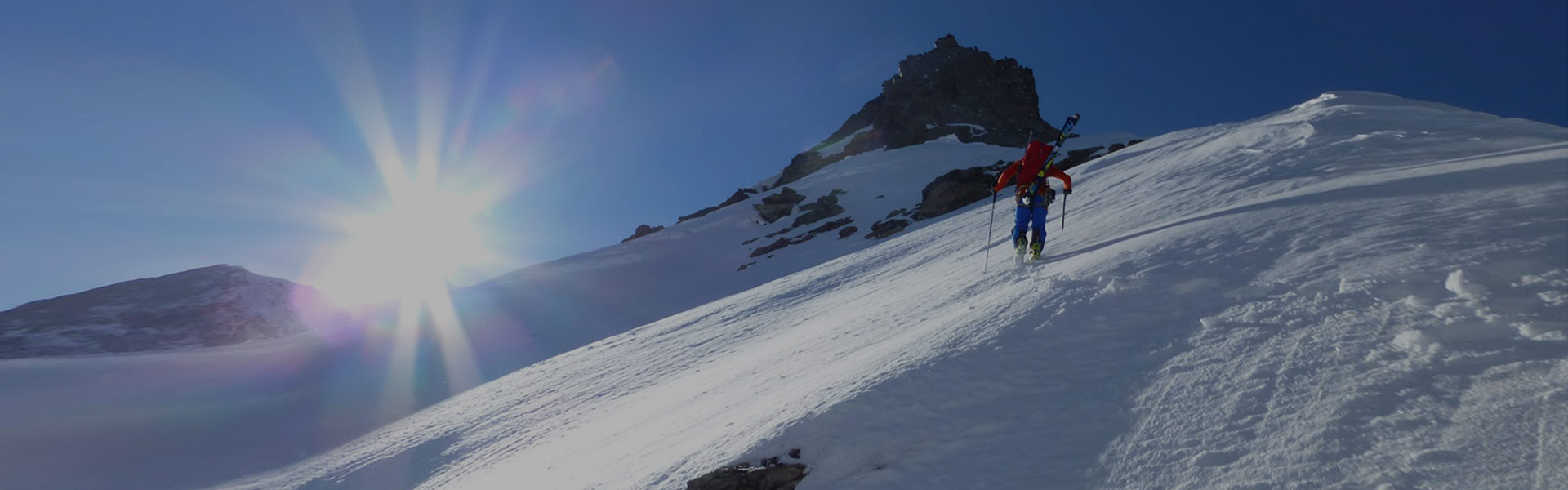 Success and Wealth Quote - No Shortcuts to the Top